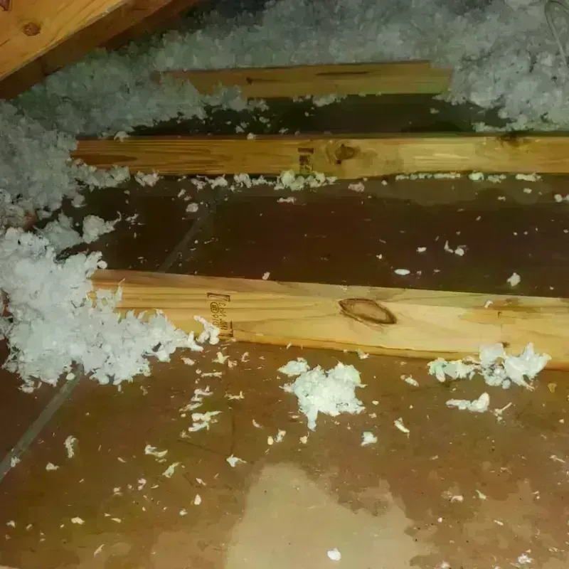 Attic Water Damage in Volo, IL