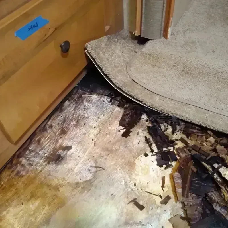 Wood Floor Water Damage in Volo, IL